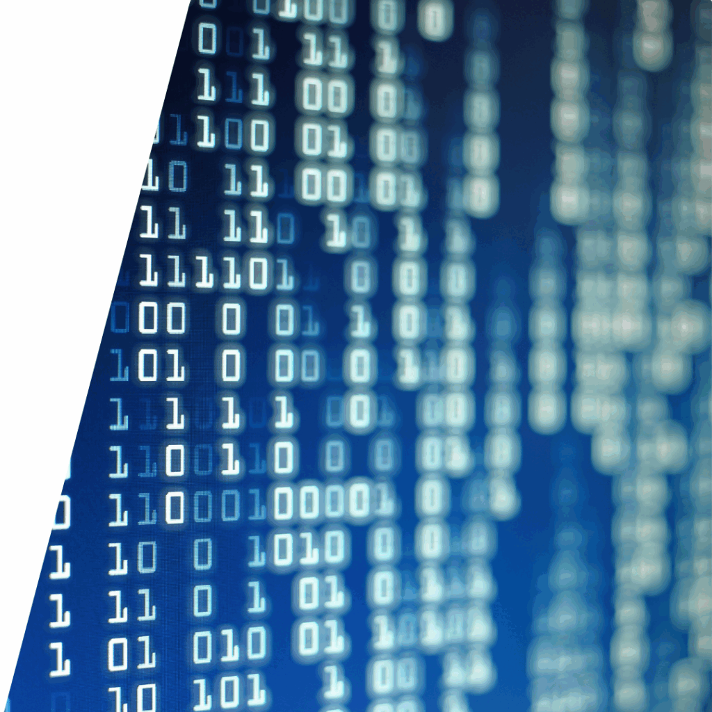 Contacto Fortem Security